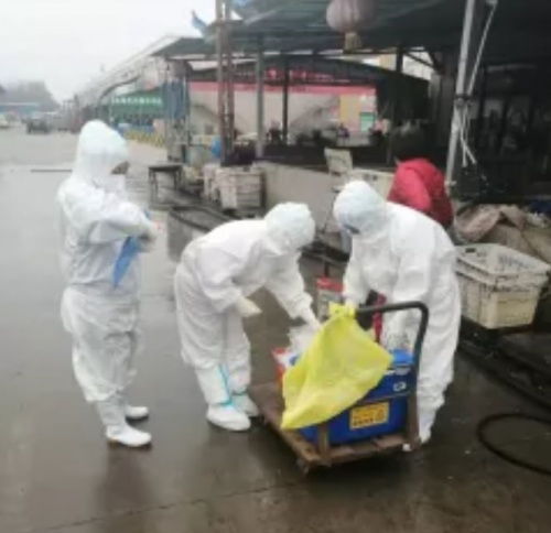 開封宏進農副產(chǎn)品國際物流中心 穩(wěn)市場 促民生 保供應